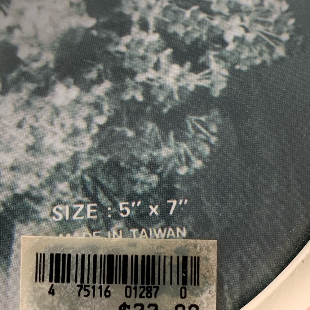 Photo Frame - Picture 2 of 7